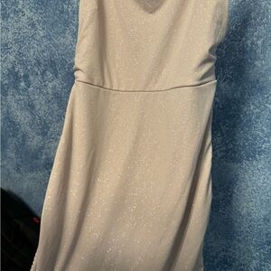 Windsor Shimmering Silver Backless Dress